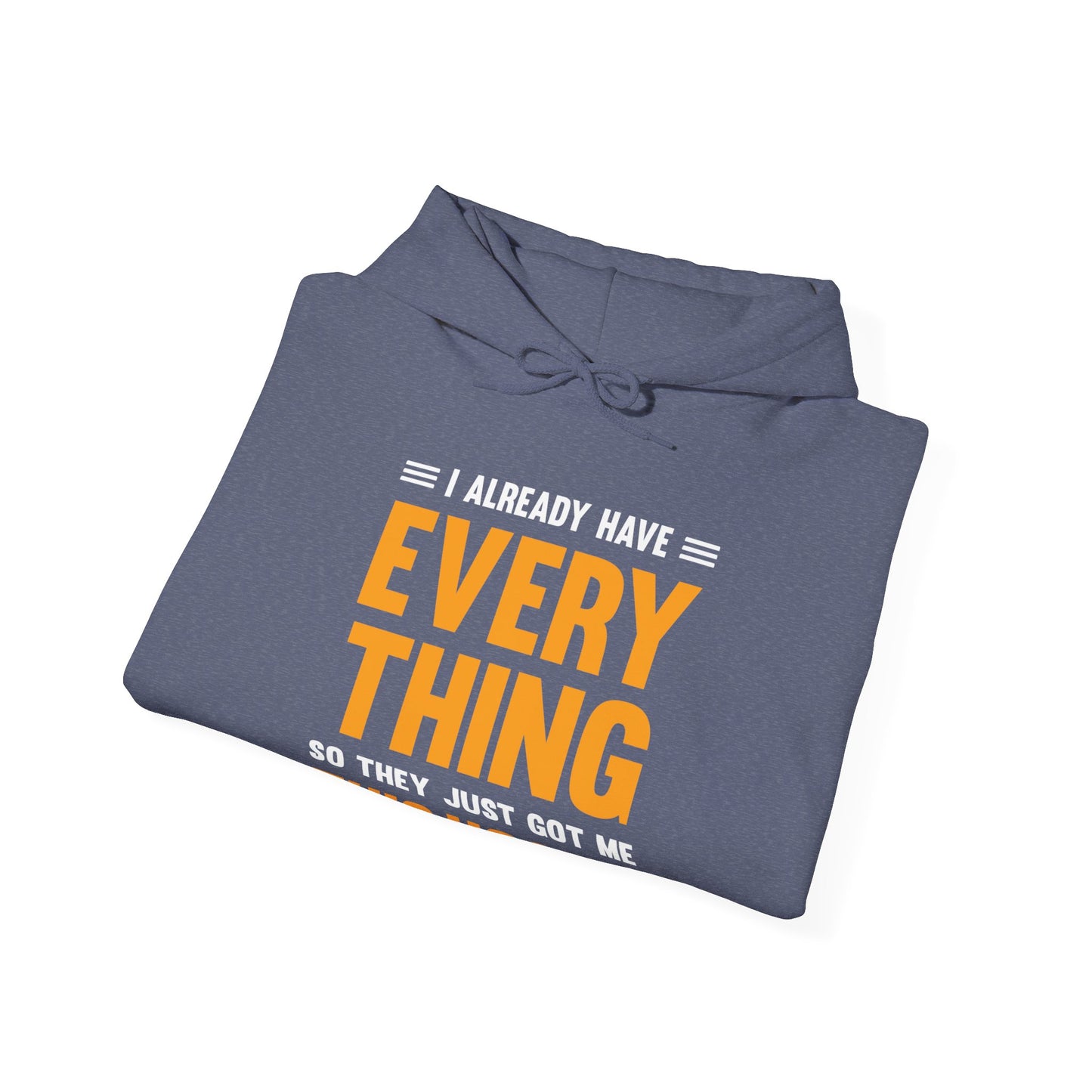 I Already Have Everything So They Just Got Me This Hoodie Funny Party Hoodie For Men Women Hoodie