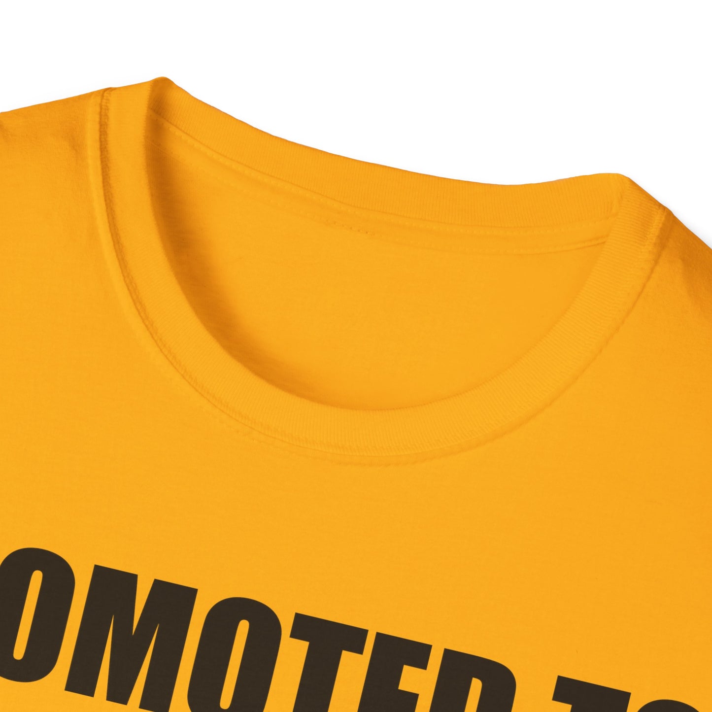 Promoted To Mommy 2026 Pregnancy Announcement Mothers Day Mom To Be T-shirt