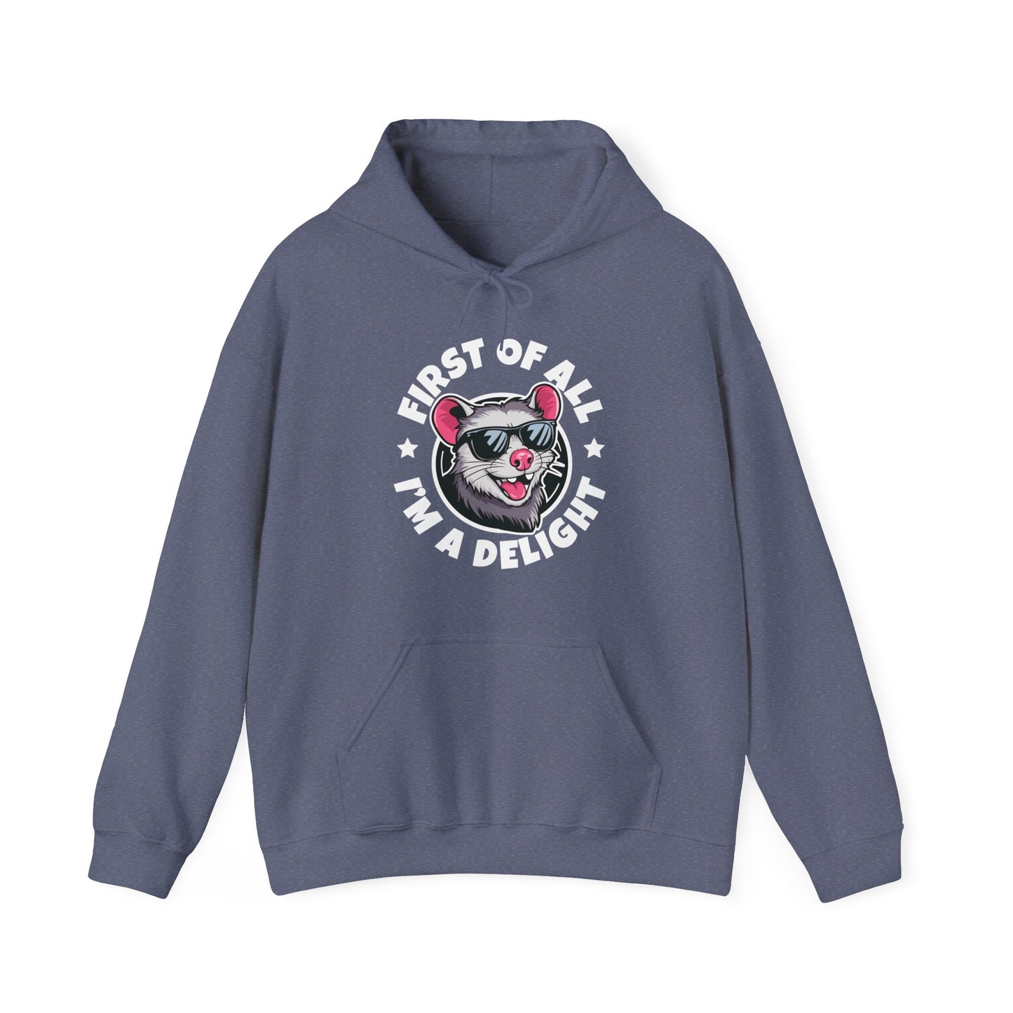 Funny First Of All I'm A Delight Sarcastic Angry Opossum Possum Hoodie For Men Women Hoodie
