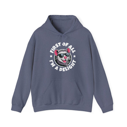 Funny First Of All I'm A Delight Sarcastic Angry Opossum Possum Hoodie For Men Women Hoodie