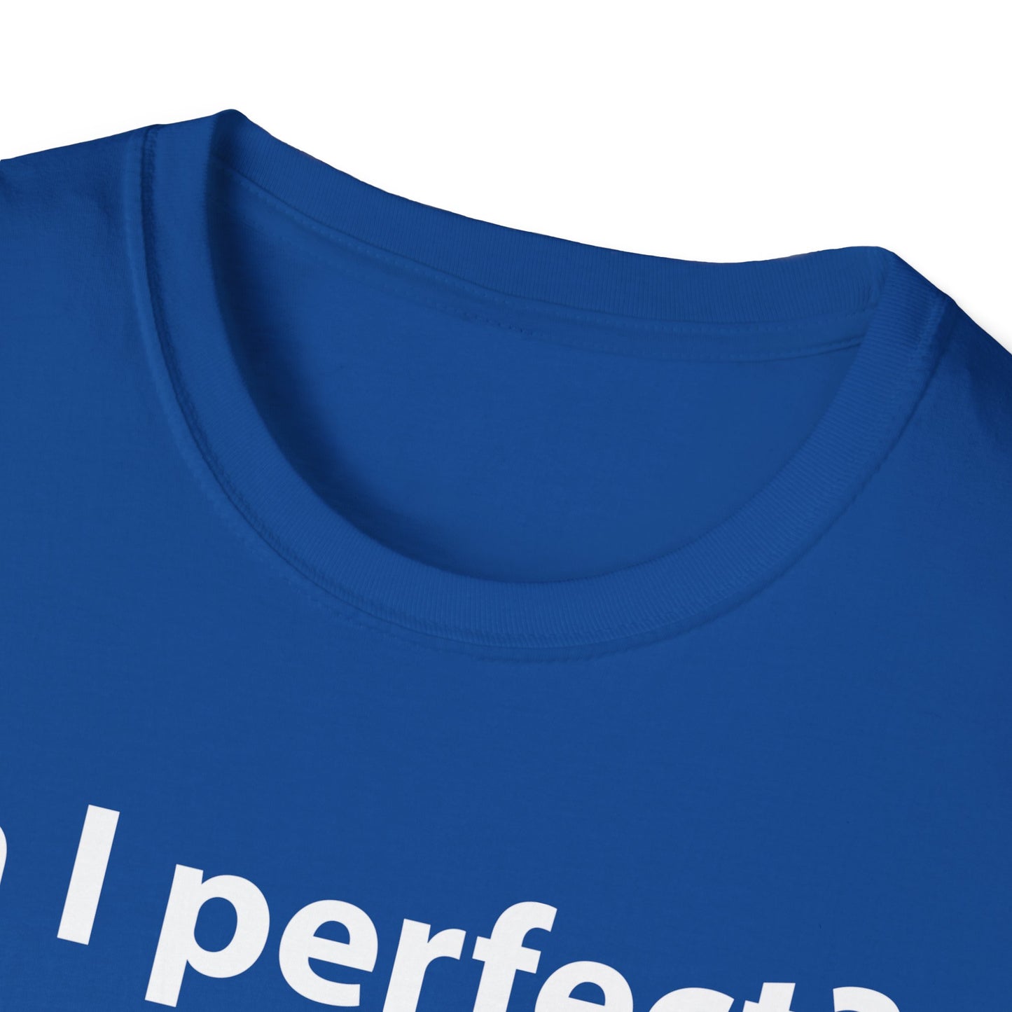 Funny Am I Perfect No. Am I Trying To Be A Better Person Also No Sarcastic T-Shirt