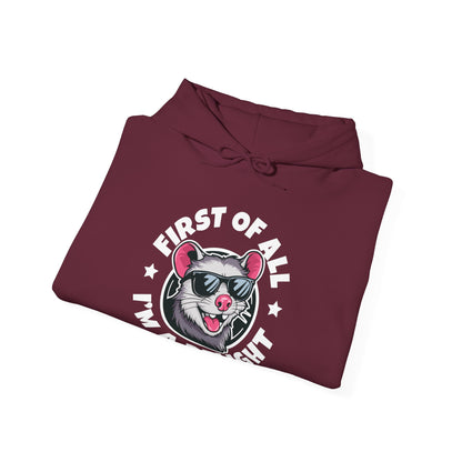 Funny First Of All I'm A Delight Sarcastic Angry Opossum Possum Hoodie For Men Women Hoodie