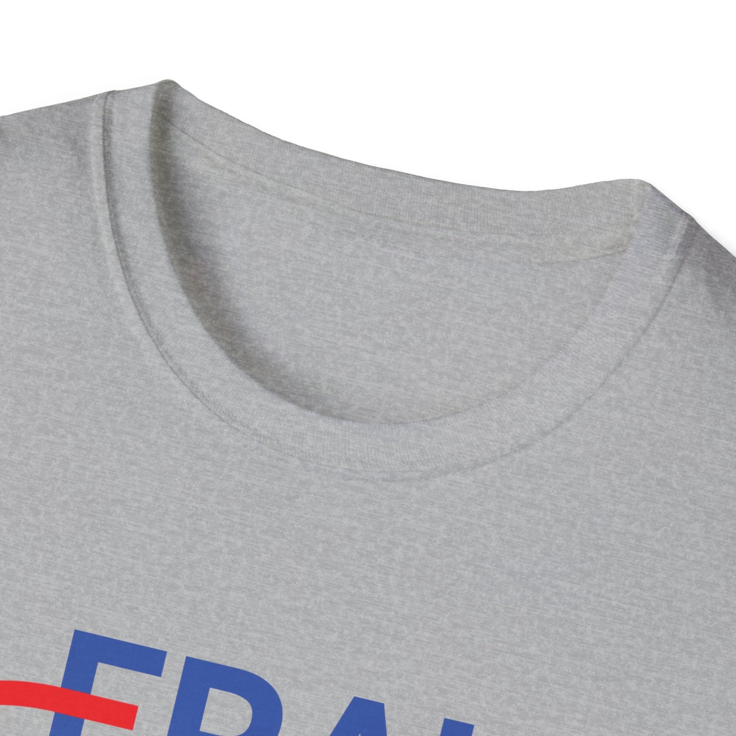 Election Fraud 2020 Shirt Show Mail Ballot Vote Fraud T-Shirt Men Women