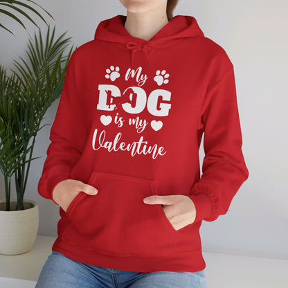 Funny My Dog is My Valentine Dog Lovers Hoodie For Men Women Hoodie
