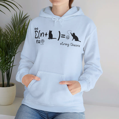 Funny String Theory Science Nerd Physics Schrodinger's Cat Hoodie For Men Women Hoodie