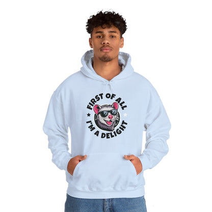 Funny First Of All I'm A Delight Sarcastic Angry Opossum Possum Hoodie For Men Women Hoodie