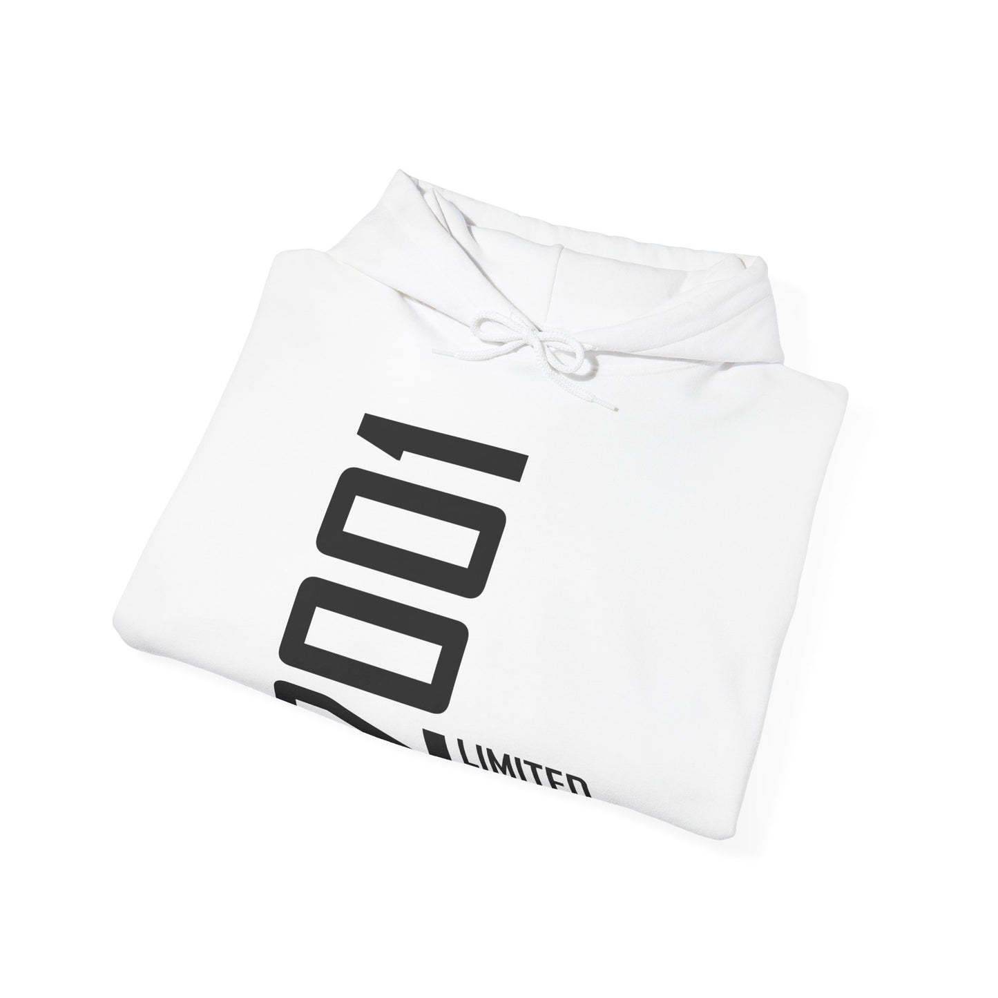 25th Birthday Man Woman 25 Years 2001 Gift Hoodie