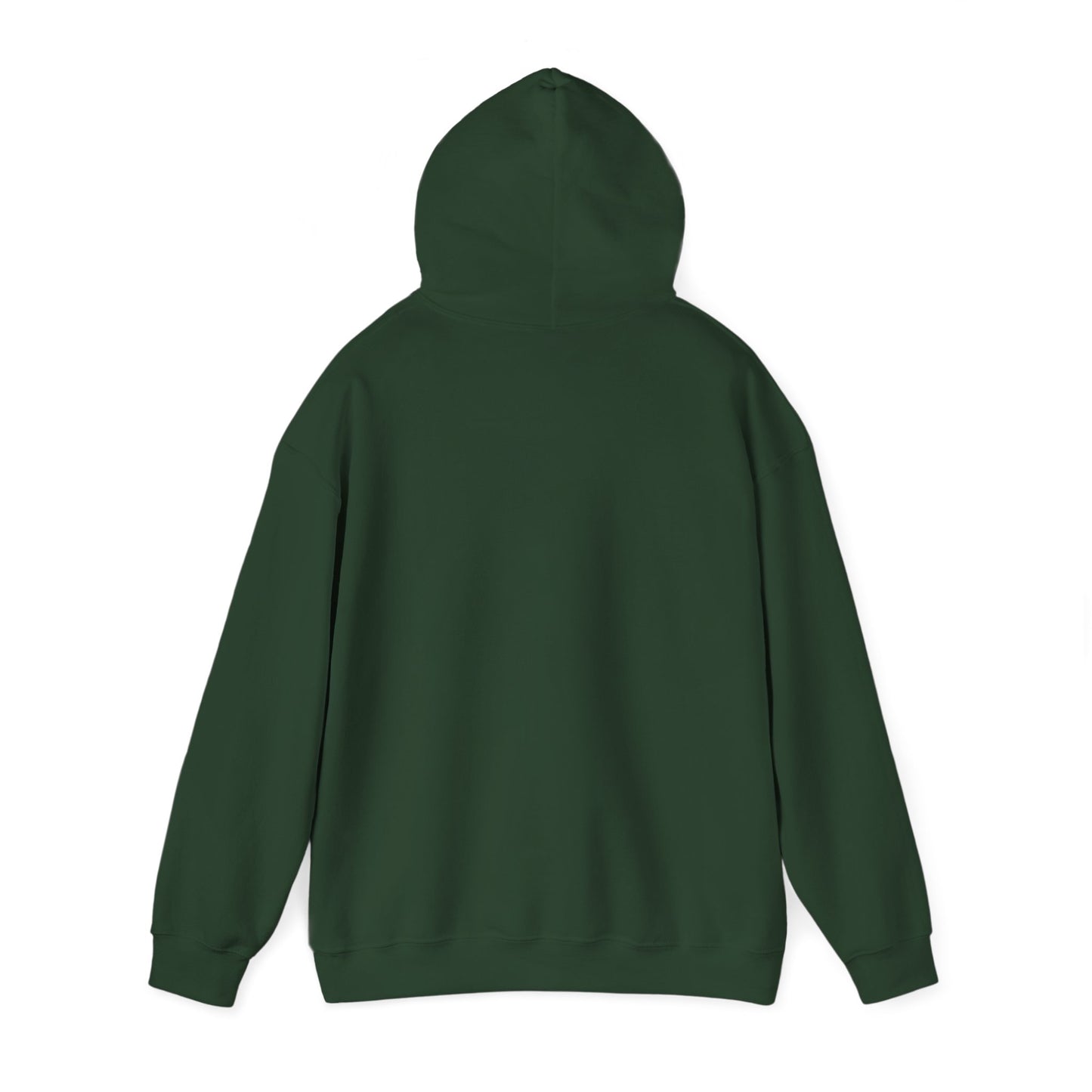 Funny Vintage Best of 1976 50 Year Old Gift 50th Birthday Hoodie For Men Women Hoodie