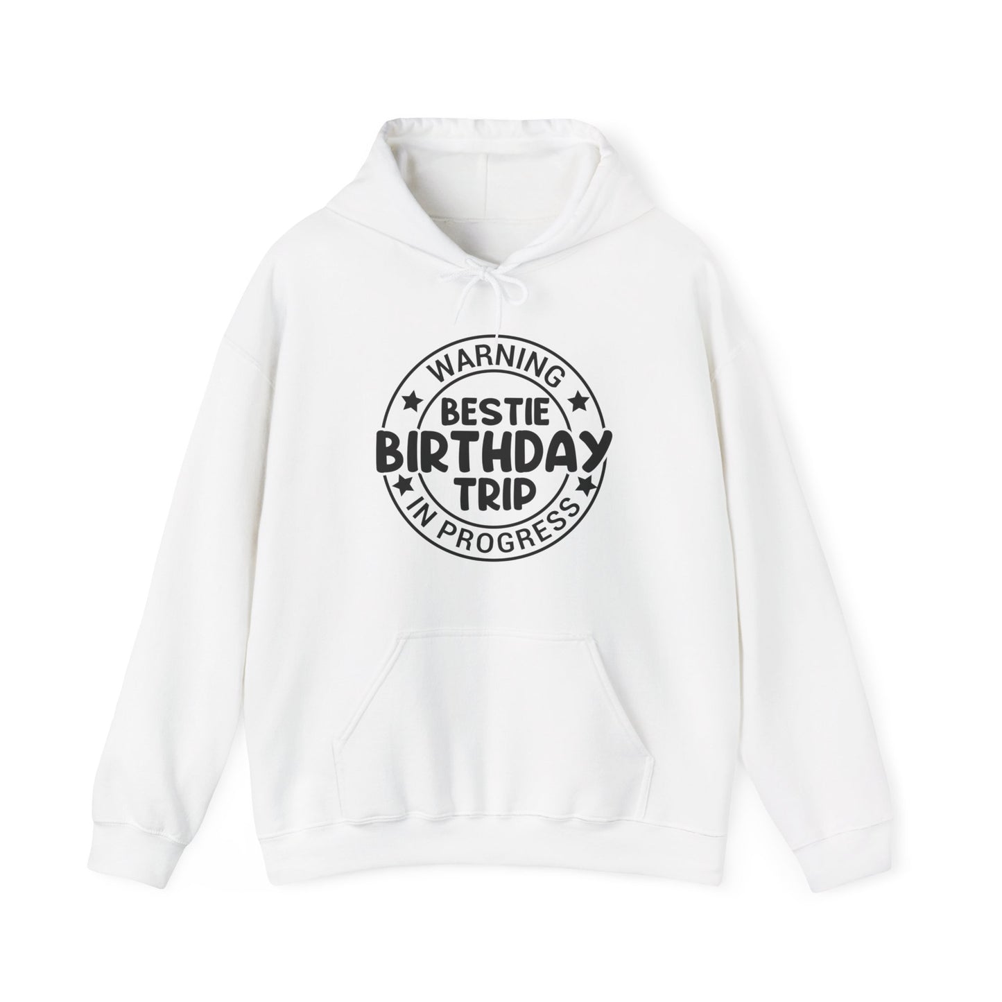 Funny Warning Bestie Birthday Trip In Progress Matching Gift BD Hoodie