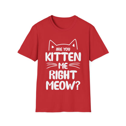 Funny Are You Kitten Me Right Meow T-Shirt Cat Joke Shirt Men Women