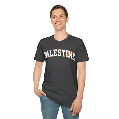 Palestine College Style Texas TX Vintage Sports T-Shirt For Men Women T-Shirt