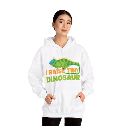 Funny Leopard Gecko I Raise Tiny Dinosaurs Lizard Reptile Geckos Hoodie For Men Women