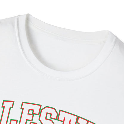 Palestine College Style Texas TX Vintage Sports T-Shirt For Men Women T-Shirt