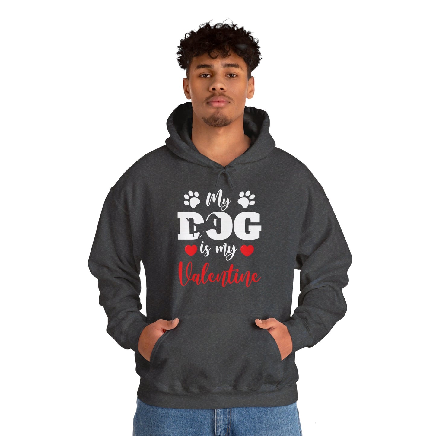 Funny My Dog is My Valentine Dog Lovers Hoodie For Men Women Hoodie