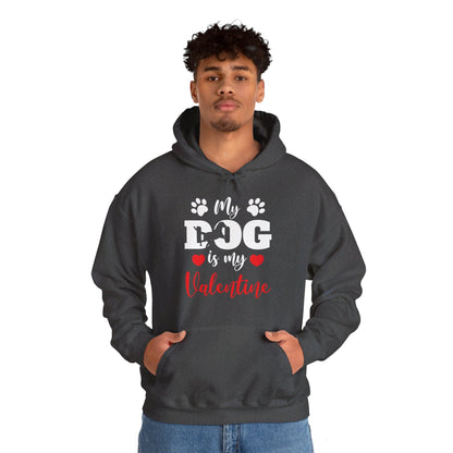 Funny My Dog is My Valentine Dog Lovers Hoodie For Men Women Hoodie
