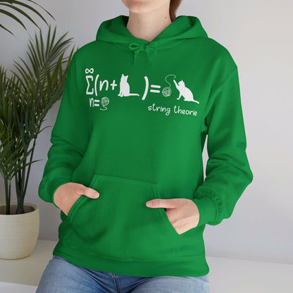 Funny String Theory Science Nerd Physics Schrodinger's Cat Hoodie For Men Women Hoodie