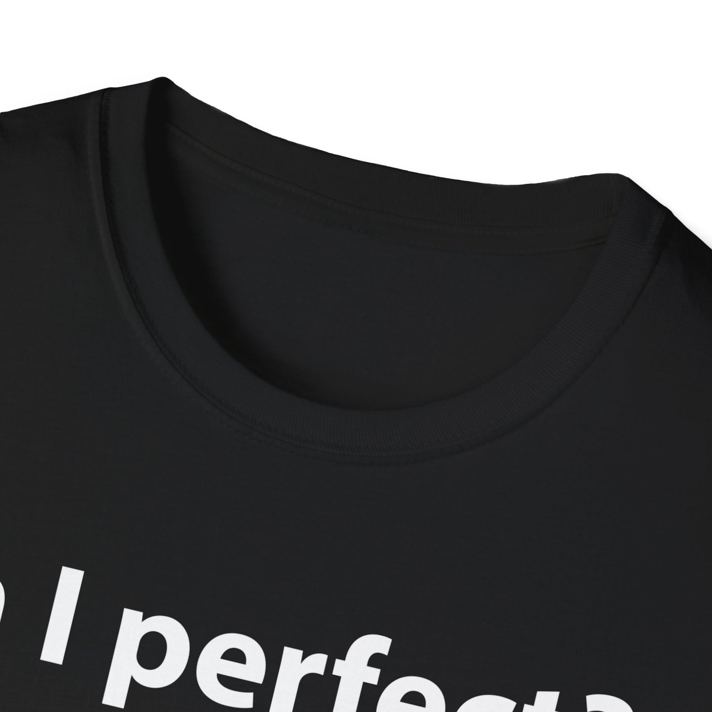 Funny Am I Perfect No. Am I Trying To Be A Better Person Also No Sarcastic T-Shirt