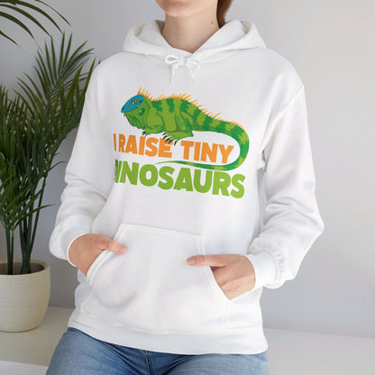 Funny Leopard Gecko I Raise Tiny Dinosaurs Lizard Reptile Geckos Hoodie For Men Women