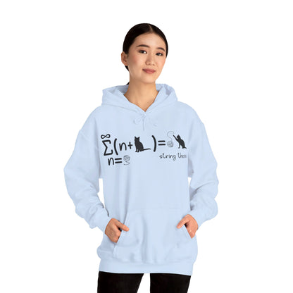 Funny String Theory Science Nerd Physics Schrodinger's Cat Hoodie For Men Women Hoodie