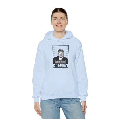 Donald Trump Police Mugshot Not Guilty President Legend 45 47 Hoodie For Men Women Hoodie