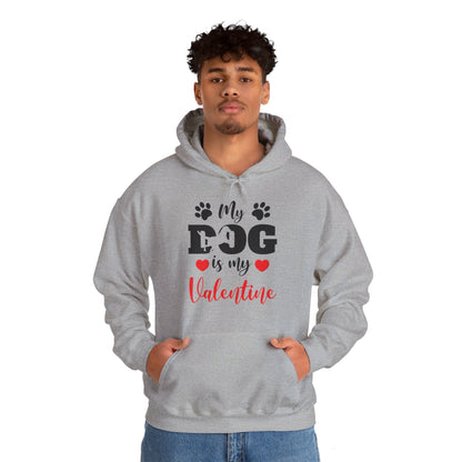 Funny My Dog is My Valentine Dog Lovers Hoodie For Men Women Hoodie