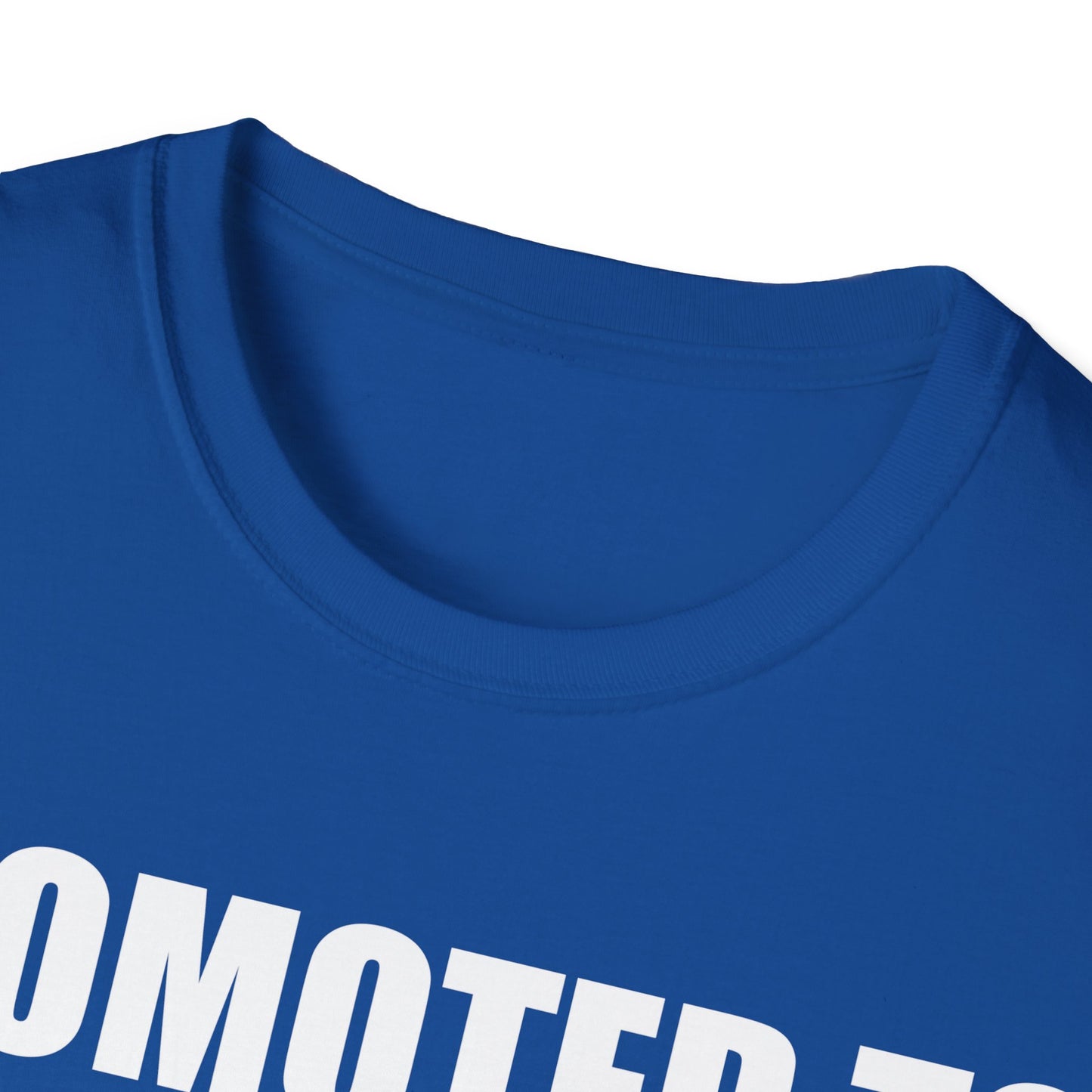 Mens Promoted To Daddy 2026 Pregnancy Announcement Gift T-Shirt