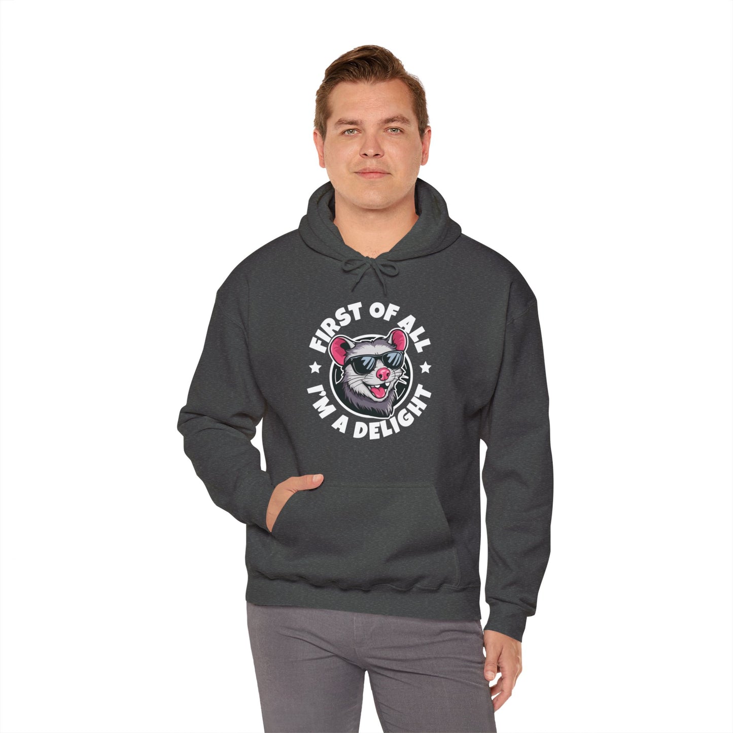 Funny First Of All I'm A Delight Sarcastic Angry Opossum Possum Hoodie For Men Women Hoodie