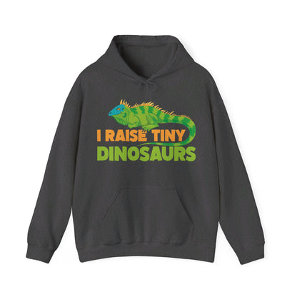 Funny Leopard Gecko I Raise Tiny Dinosaurs Lizard Reptile Geckos Hoodie For Men Women