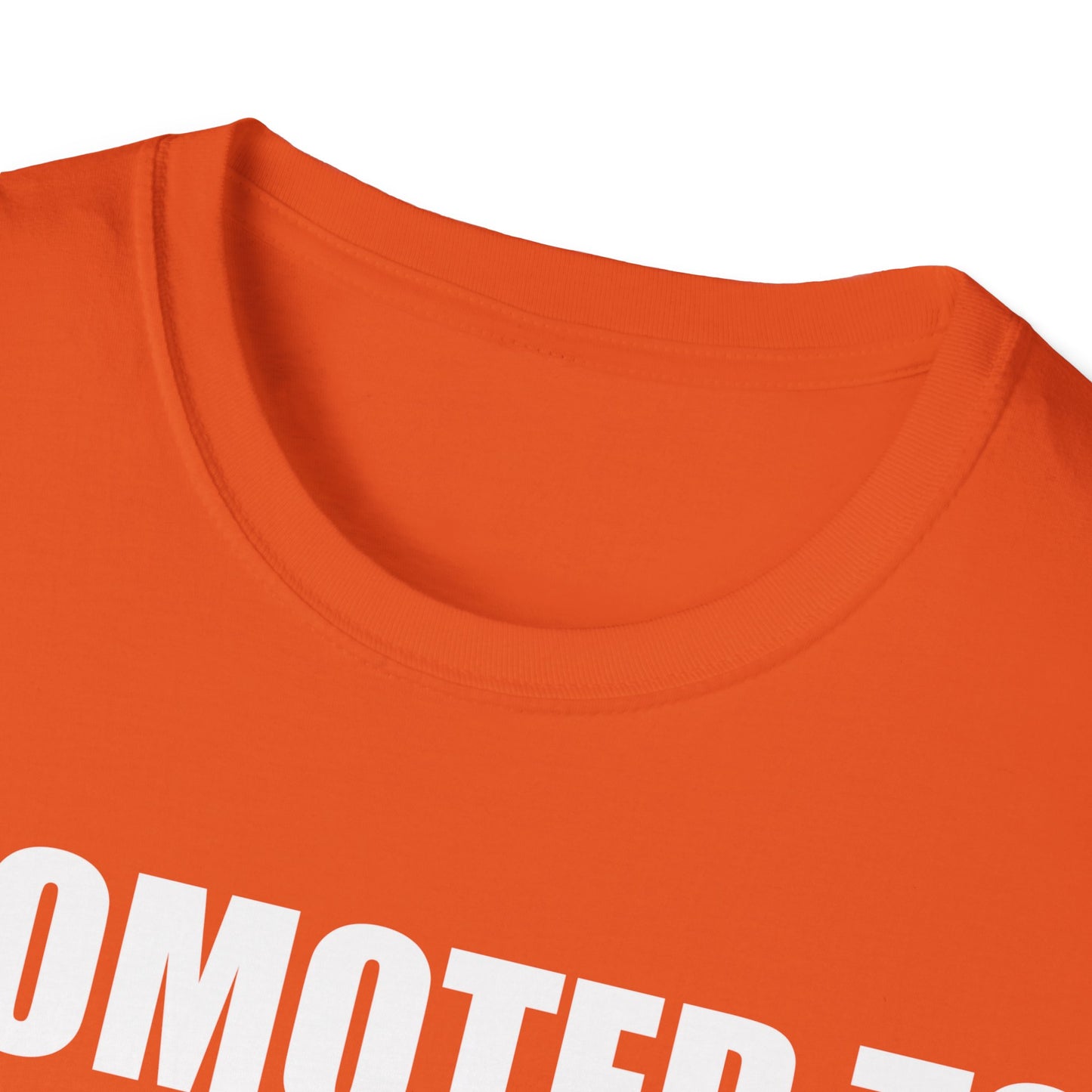 Mens Promoted To Daddy 2026 Pregnancy Announcement Gift T-Shirt