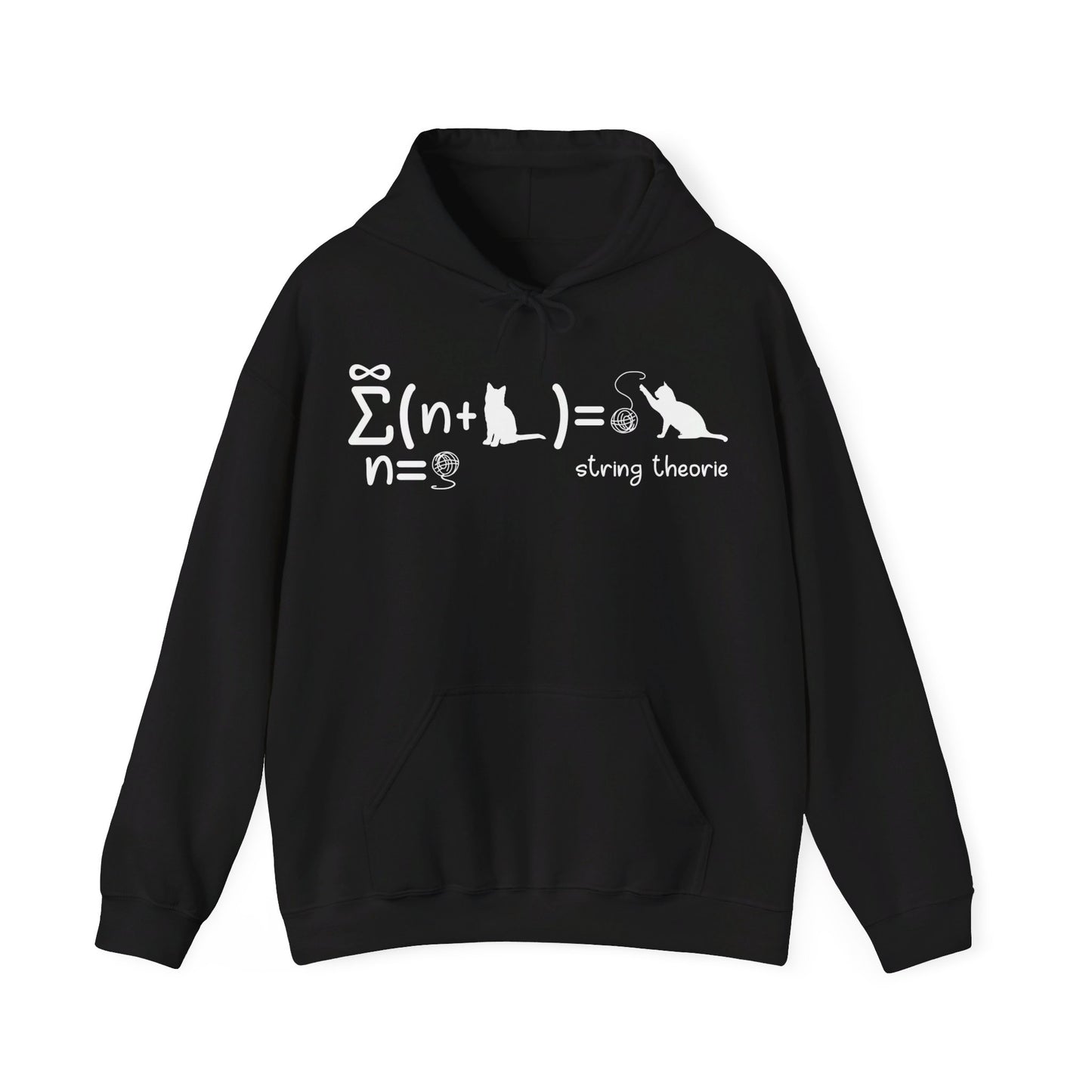 Funny String Theory Science Nerd Physics Schrodinger's Cat Hoodie For Men Women Hoodie