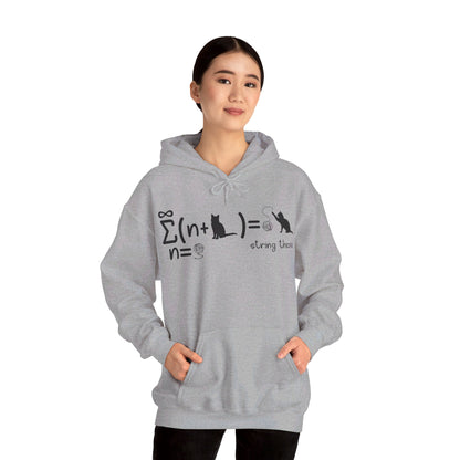 Funny String Theory Science Nerd Physics Schrodinger's Cat Hoodie For Men Women Hoodie