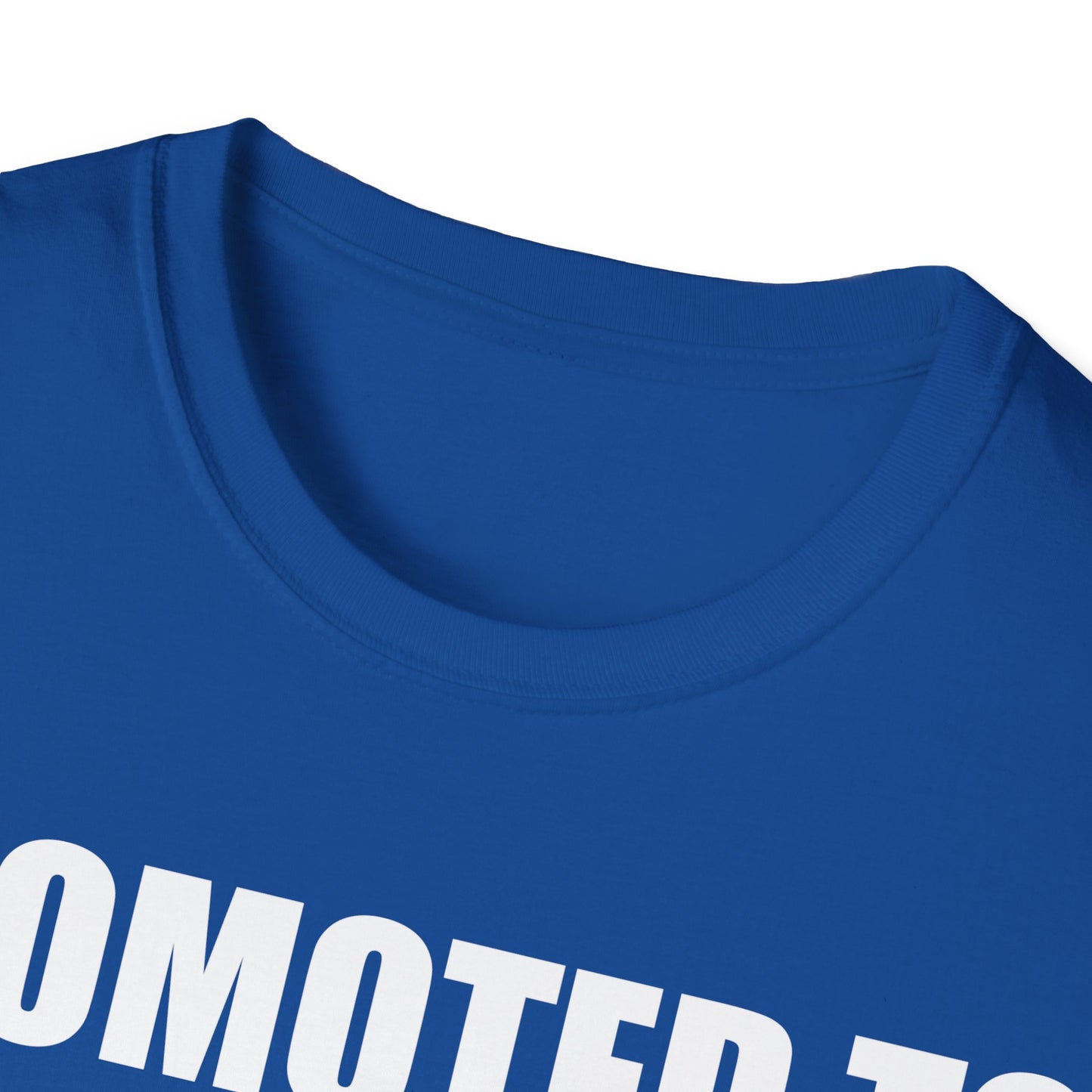 Promoted To Mommy 2026 Pregnancy Announcement Mothers Day Mom To Be T-shirt