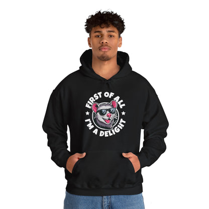 Funny First Of All I'm A Delight Sarcastic Angry Opossum Possum Hoodie For Men Women Hoodie