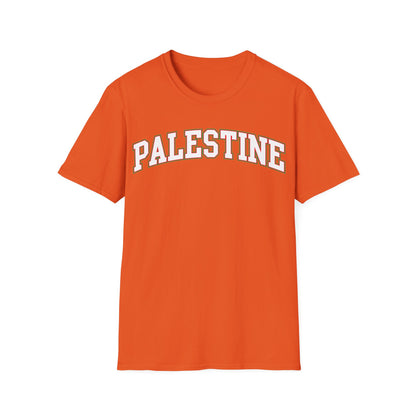Palestine College Style Texas TX Vintage Sports T-Shirt For Men Women T-Shirt