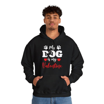 Funny My Dog is My Valentine Dog Lovers Hoodie For Men Women Hoodie
