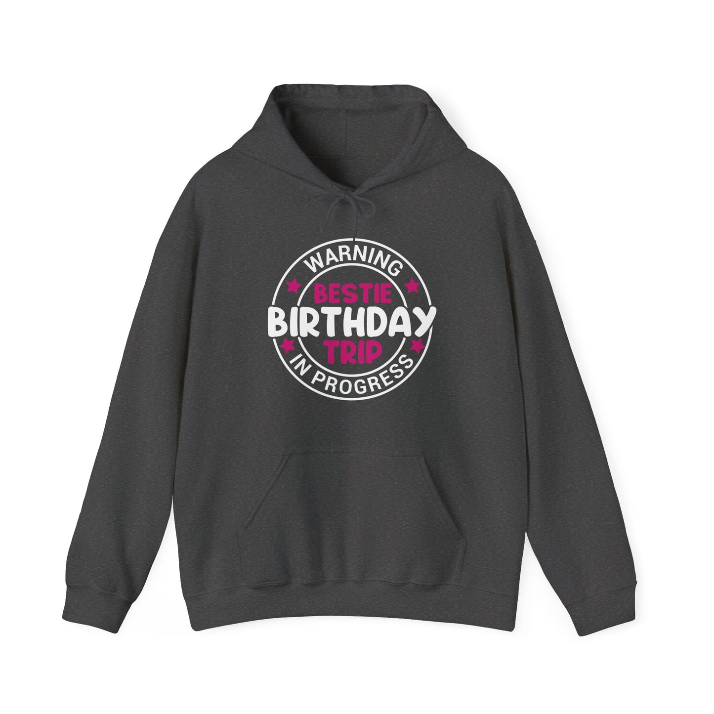 Funny Warning Bestie Birthday Trip In Progress Matching Gift BD Hoodie