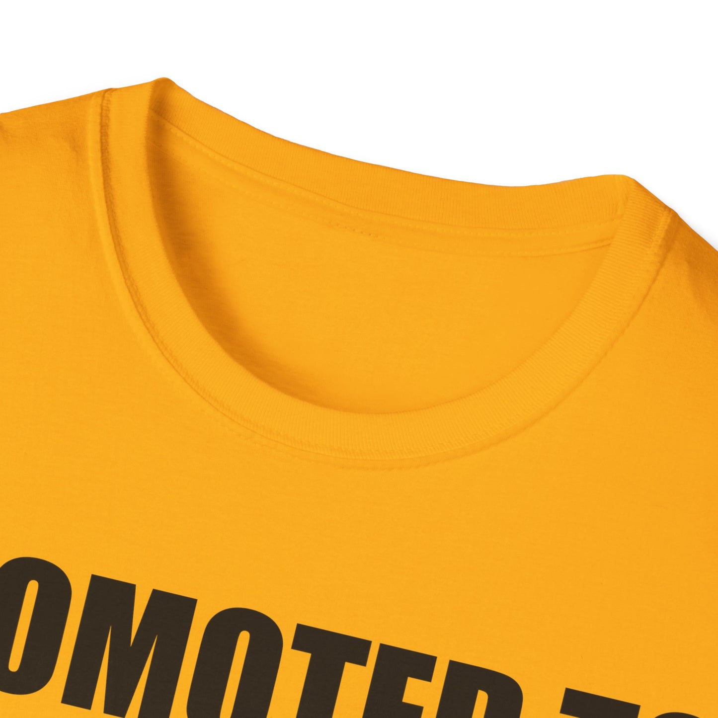 Mens Promoted To Daddy 2026 Pregnancy Announcement Gift T-Shirt