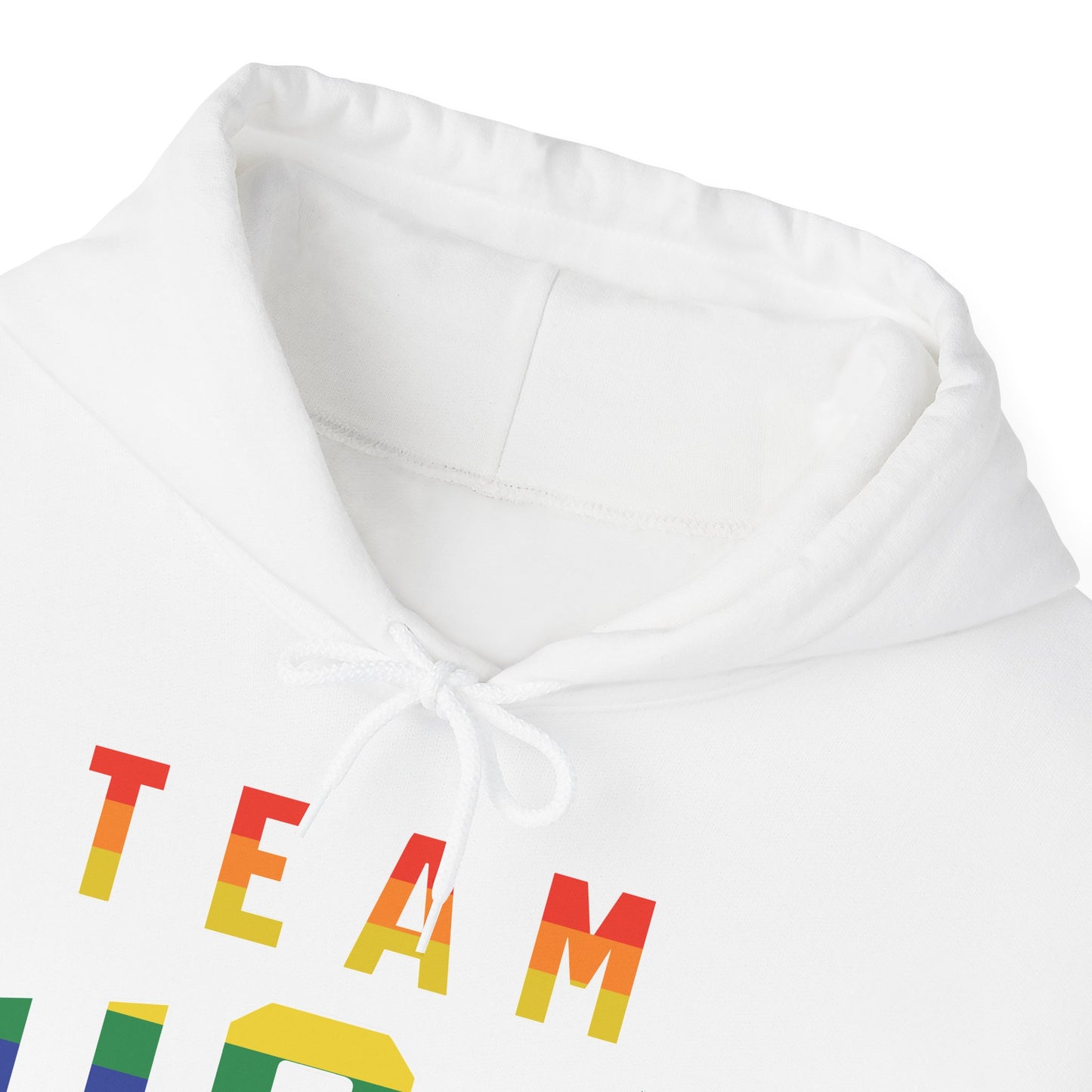 Men's Team USA Pride Pullover Hoodie