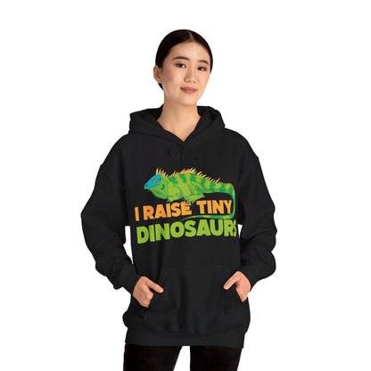 Funny Leopard Gecko I Raise Tiny Dinosaurs Lizard Reptile Geckos Hoodie For Men Women