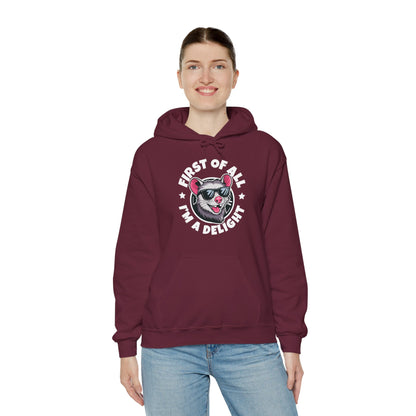 Funny First Of All I'm A Delight Sarcastic Angry Opossum Possum Hoodie For Men Women Hoodie