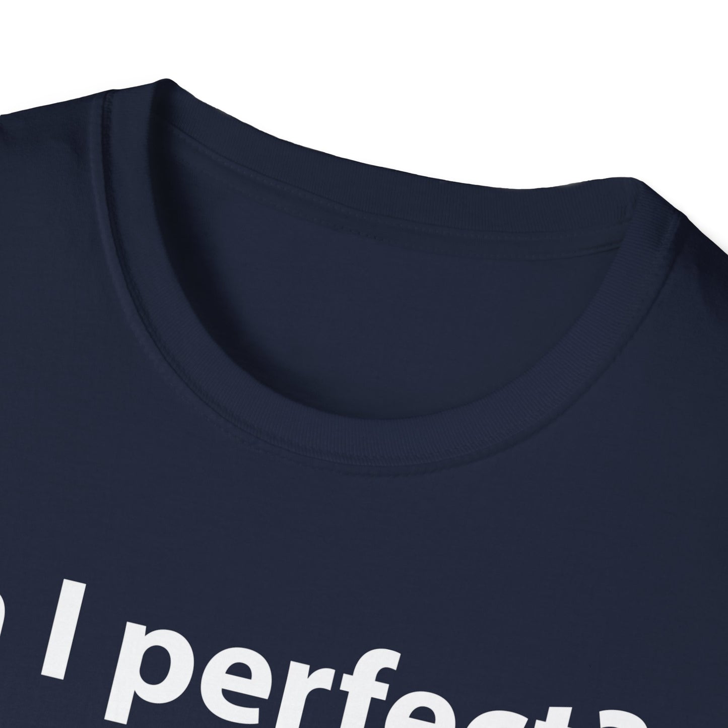 Funny Am I Perfect No. Am I Trying To Be A Better Person Also No Sarcastic T-Shirt