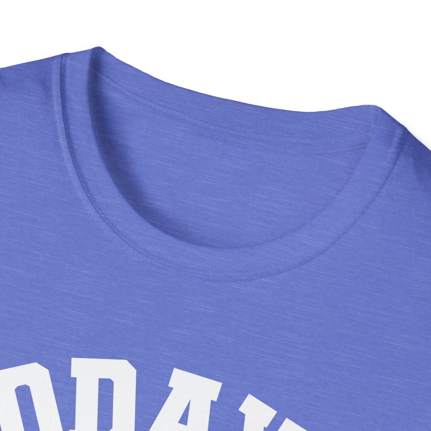 Funny Todays Forecast Corn Hole and Beer Sarcastic Beers Lover Cornhole Party