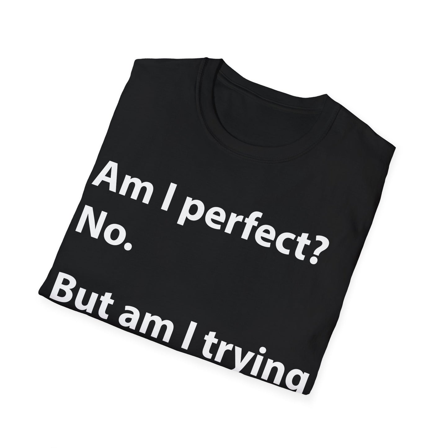 Funny Am I Perfect No. Am I Trying To Be A Better Person Also No Sarcastic T-Shirt