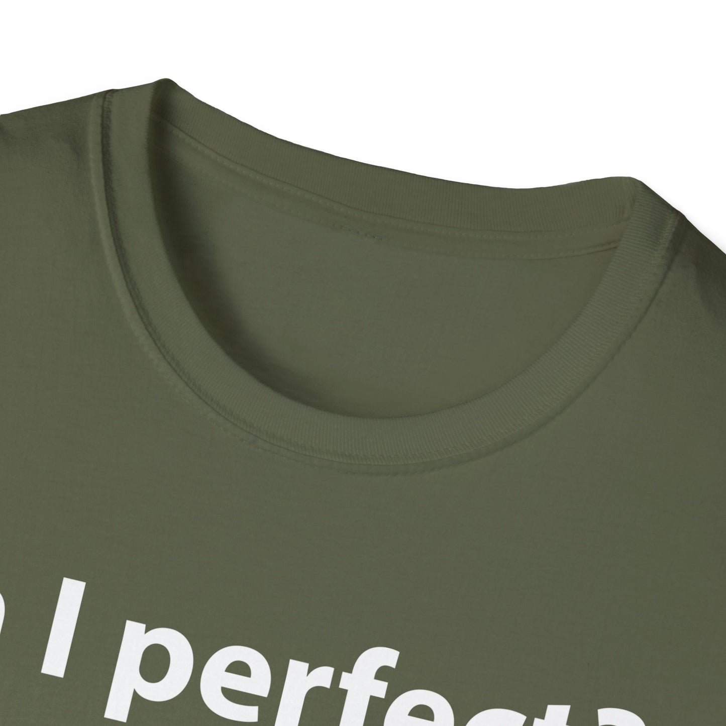 Funny Am I Perfect No. Am I Trying To Be A Better Person Also No Sarcastic T-Shirt