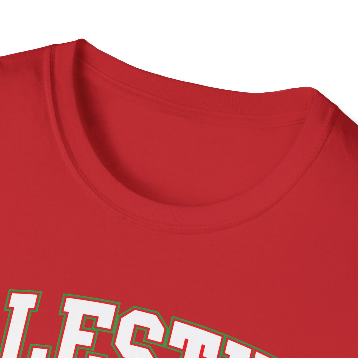 Palestine College Style Texas TX Vintage Sports T-Shirt For Men Women T-Shirt