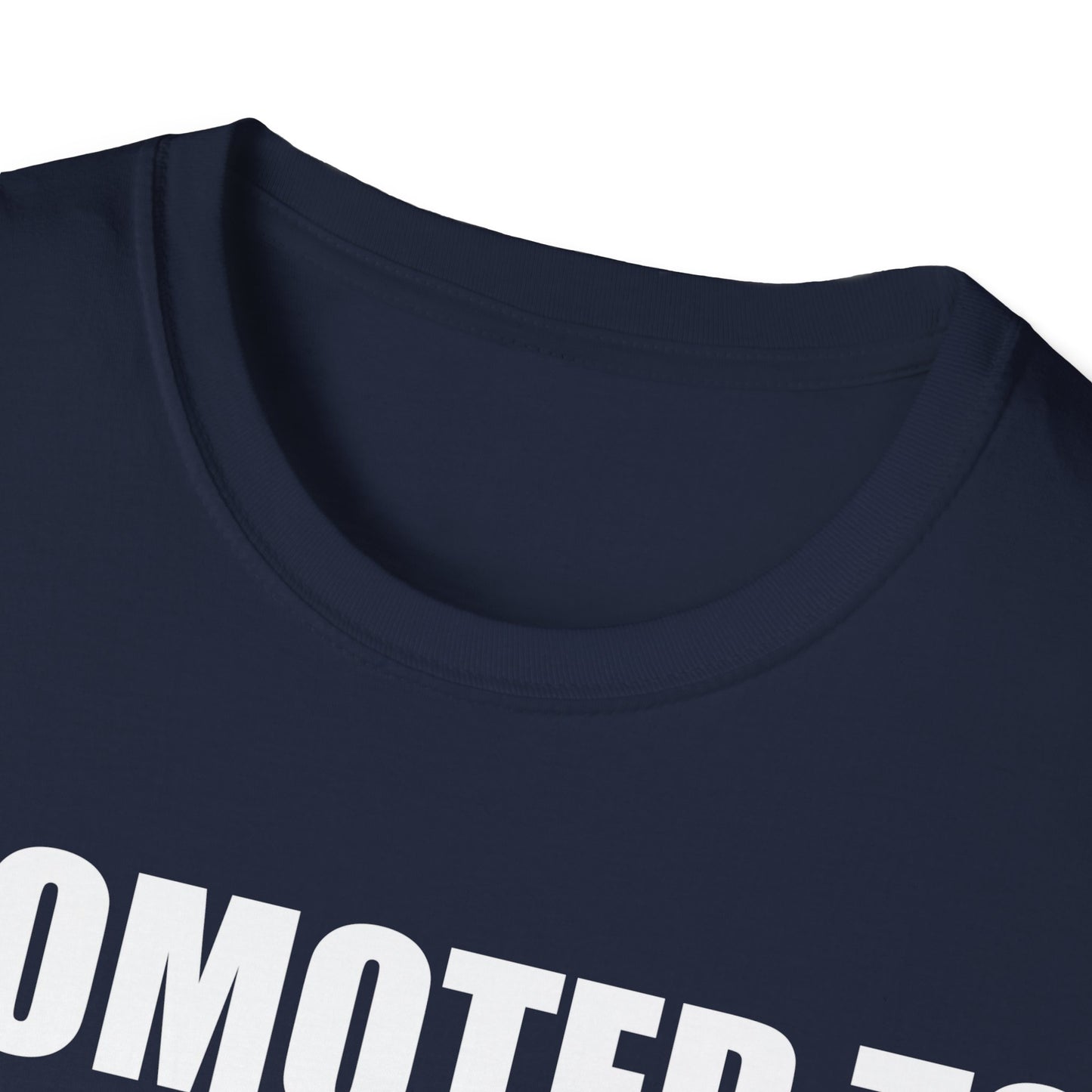 Mens Promoted To Daddy 2026 Pregnancy Announcement Gift T-Shirt