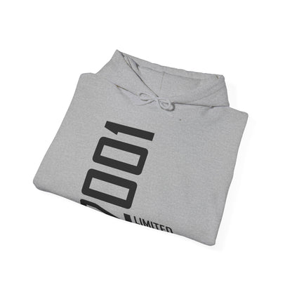 25th Birthday Man Woman 25 Years 2001 Gift Hoodie