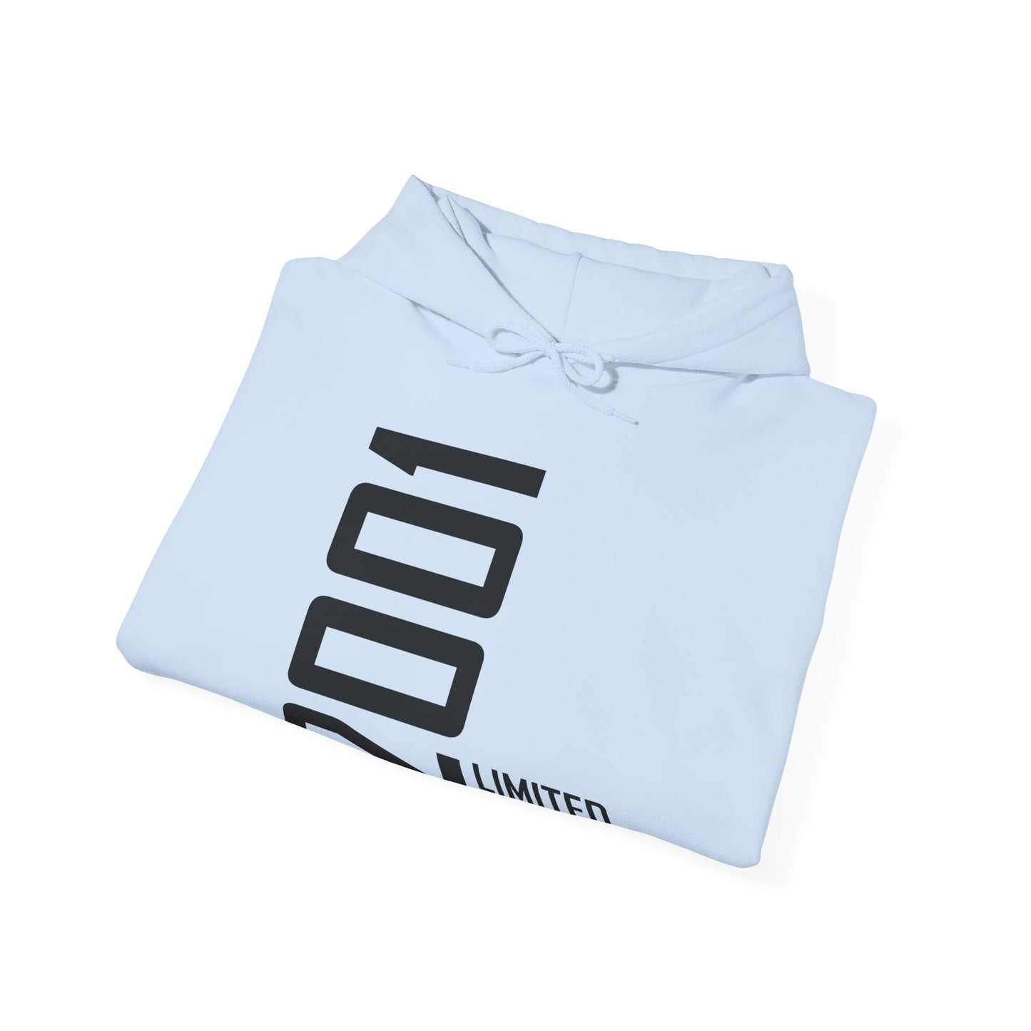 25th Birthday Man Woman 25 Years 2001 Gift Hoodie