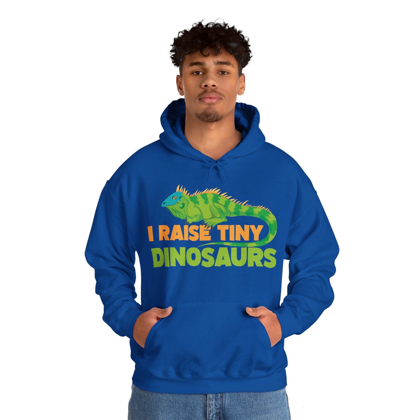 Funny Leopard Gecko I Raise Tiny Dinosaurs Lizard Reptile Geckos Hoodie For Men Women