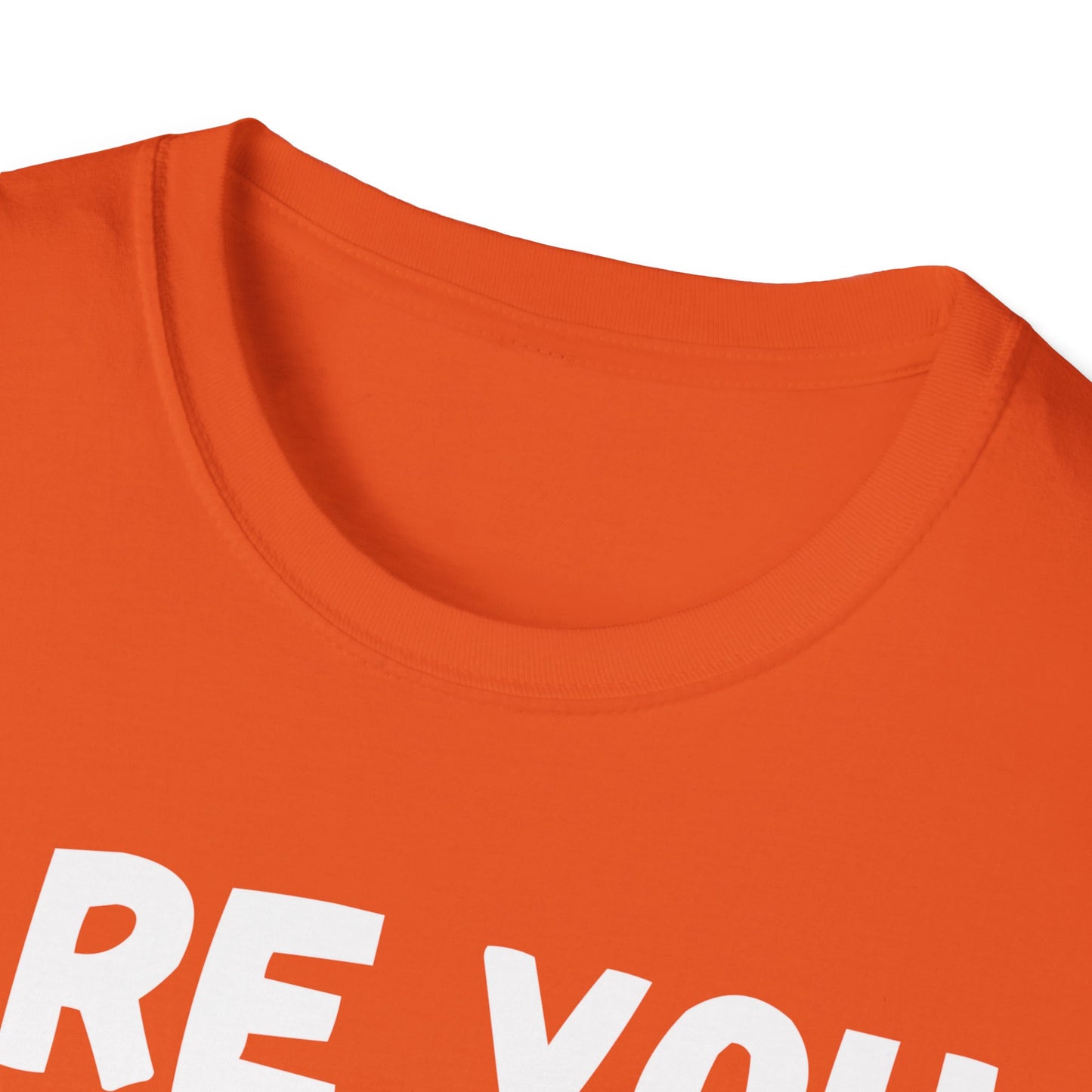 Humor are You Serious Grumpy Funny Monkey Meme T-Shirt